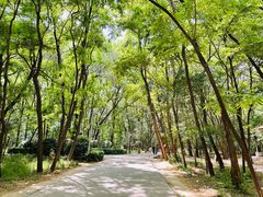 -廊坊市自然公园