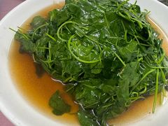 草头-蘭心餐厅(进贤路店)