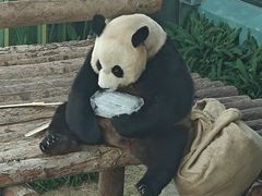 -大连森林动物园