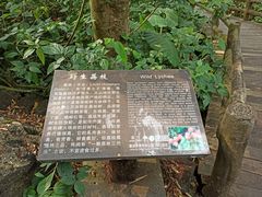-海口火山口国家地质公园