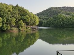 -白马涧龙池景区