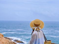 -广东惠东海龟国家级自然保护区