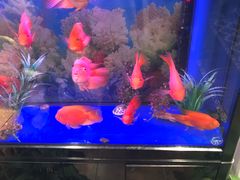 -尹兰楼西北风情餐厅(嘉定店)