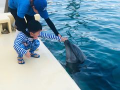 -秦皇岛乐岛海洋王国