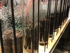 大堂-喜茶(上海兴业太古汇店)