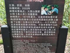 -云南屏边大围山国家公园