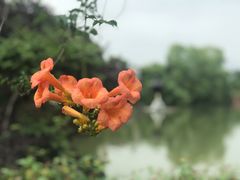-张公山寨景区