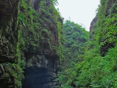 -鹿院坪生态旅游景区