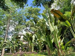 -南宁良凤江国家森林公园