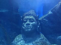 -暹罗海洋世界