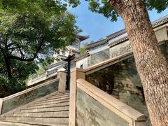 -广州神农草堂中医药博物馆