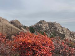 -北京凤凰岭
