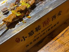 -福苗小骆驼烧烤(莲湖路店)