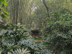 -广州市白云山风景名胜区