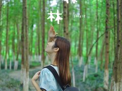 -桤木河湿地公园