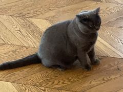 -Me Coffee下午茶艺术空间