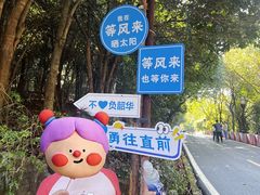 -潜山国家森林公园