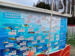 -南京金牛湖风景区