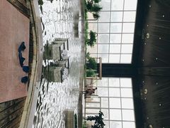 室内温泉-徂徕山森林康养度假谷温泉