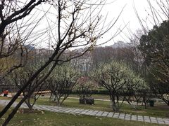 zhao mei ling-解放公园
