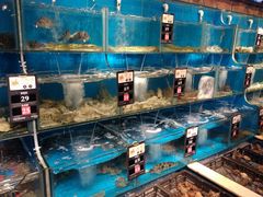 水产区-苏大嘴海鲜牧场(奥林匹克店)