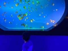-梦幻海洋王国(吾悦广场张家港店)