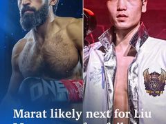 -TFC 纯泰拳馆MuayThai