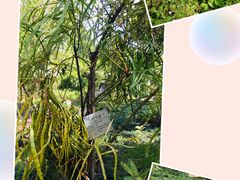 -广州神农草堂中医药博物馆