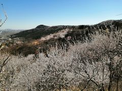 -北京西山国家森林公园