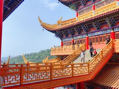 -东莞市大岭山森林公园