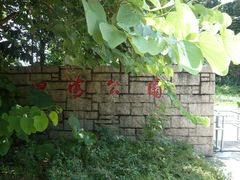 -四海公园(南山区)