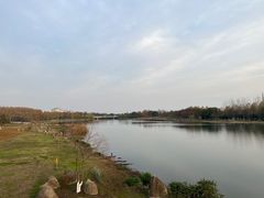 -滨湖塘西河公园