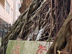 -小洲村