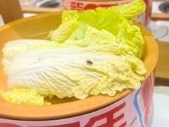 -龍歌自助小火锅(崂山丽达店)