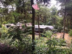 -客乐得玉峰山房车营地