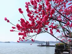 -无锡蠡湖国家湿地公园-蠡园