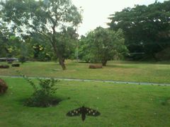 -班达拉奈克国际机场