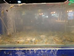 -甄品麦哲伦海鲜和牛自助(万达广场店)