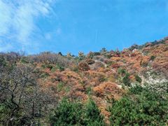 -抱龙峪