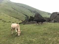 -大姆山草场