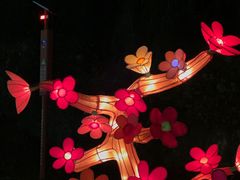 -龙庆峡风景区