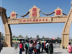 -金塔沙漠胡杨林景区