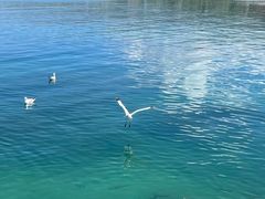 -青海湖二郎剑景区