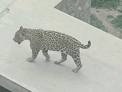 -石家庄市动物园