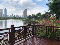 -万绿园