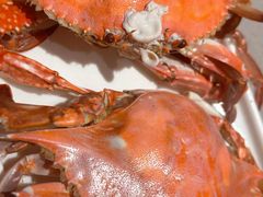 -大锅强·蒸海鲜青岛菜(吾悦广场店)