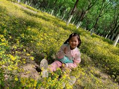 -永定河休闲森林公园