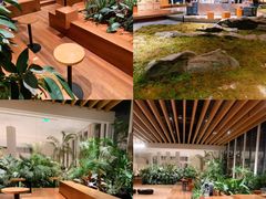 -Seesaw Coffee(朝阳大悦城店)