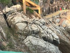 -广东惠东海龟国家级自然保护区