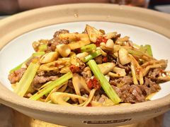 -天辣(金桥啦啦宝都店)